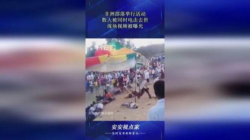 非洲动态视频,聚焦热点事件与区域发展新趋势