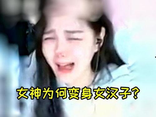 柔柔的视频,探寻生活之美，感受温馨时光