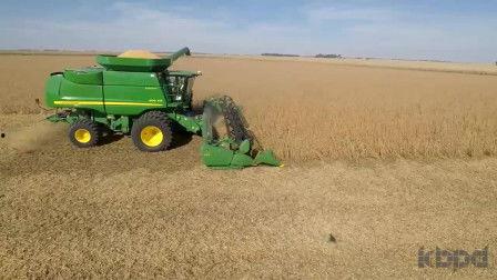 大豆收割机视频,大豆收割机高效作业现场直击
