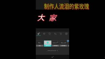 21视频,揭秘热门视频背后的故事与魅力